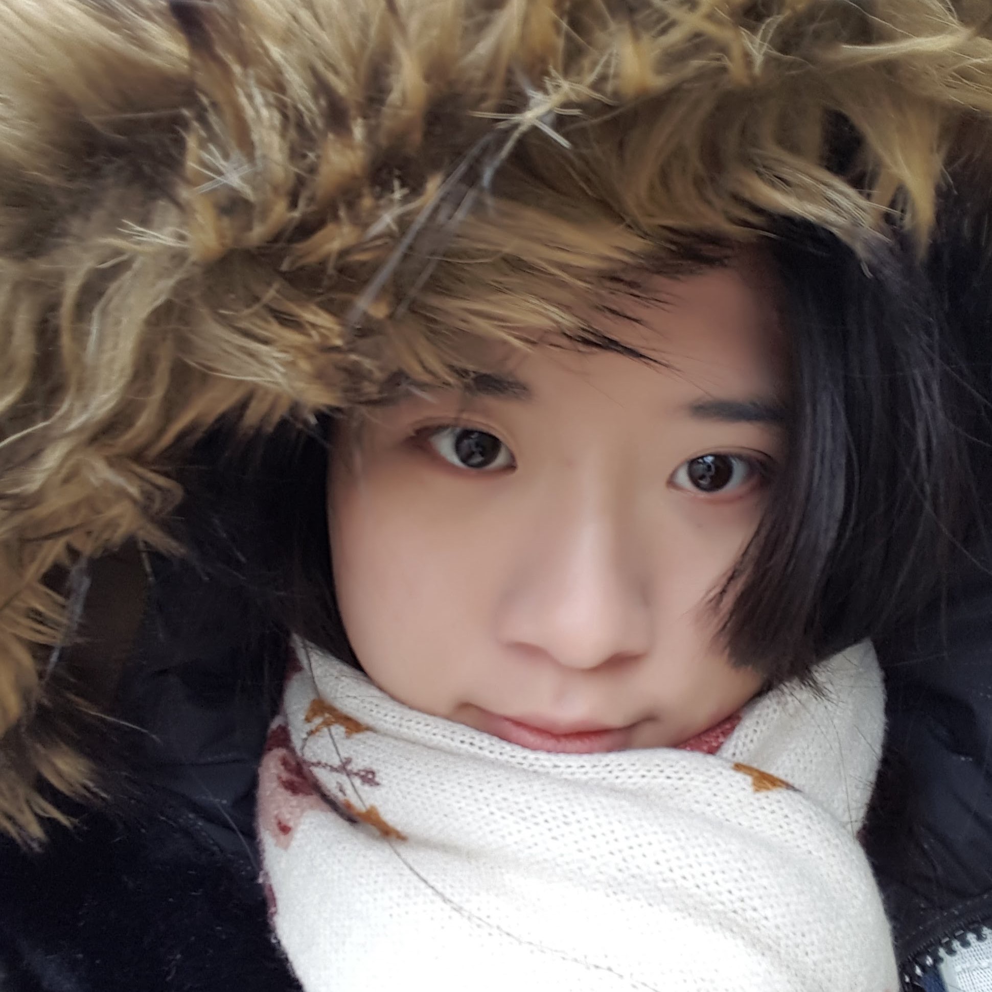 Xiaoyu Dai