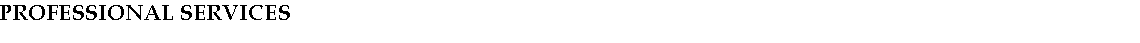Text Box: PROFESSIONAL SERVICES